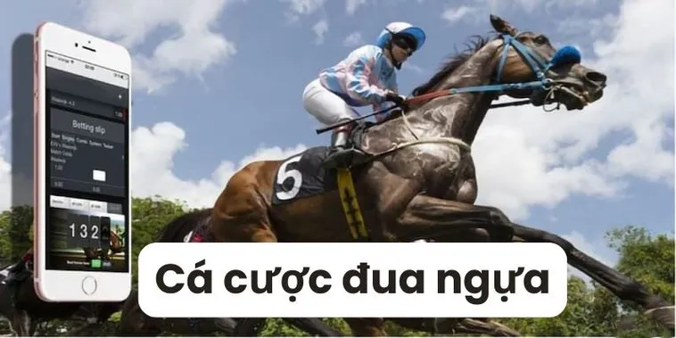 Tìm Hiểu Cá Cược Đua Ngựa DWIN Giải Mã Sức Hút Đường Đua